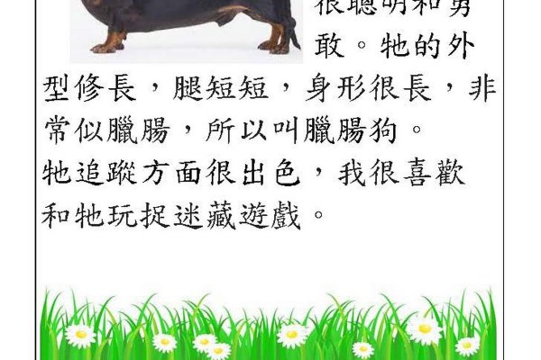 羅韻詩中文科作品 P1