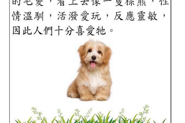 K班 譚智揚中文科作品 P1