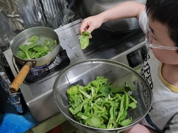 水耕種植-C班