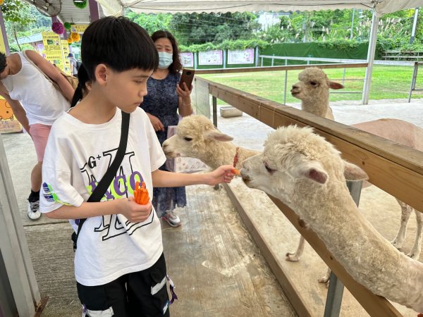 家職會蝶豆花園親子旅行