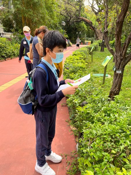 E班外出活動_遊九龍公園