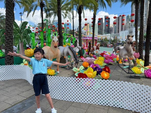 D班參觀維園花燈