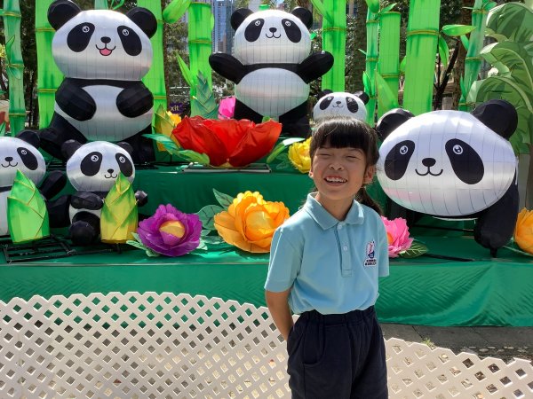 D班參觀維園花燈