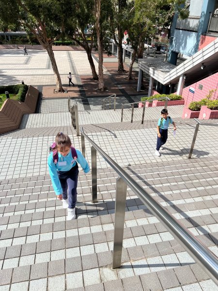 參觀「香港多面體」展覽