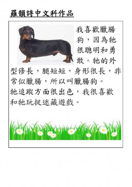 羅韻詩中文科作品 P1