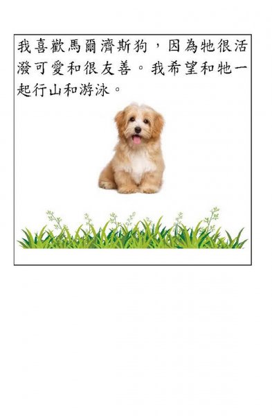 譚智揚中文科作品 P2