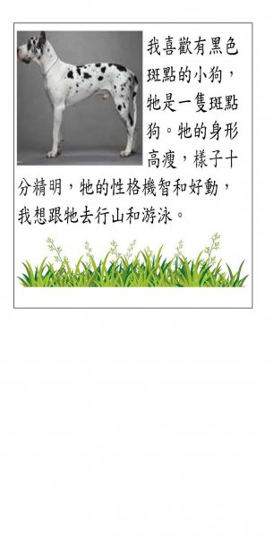 譚智揚中文科作品 P3