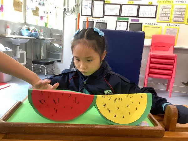 A班視藝科 (西瓜)